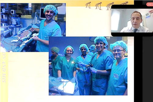 El servei de Cirurgia d’Althaia reprèn les sessions clíniques online adreçades a residents de l’Estat espanyol i l'estranger